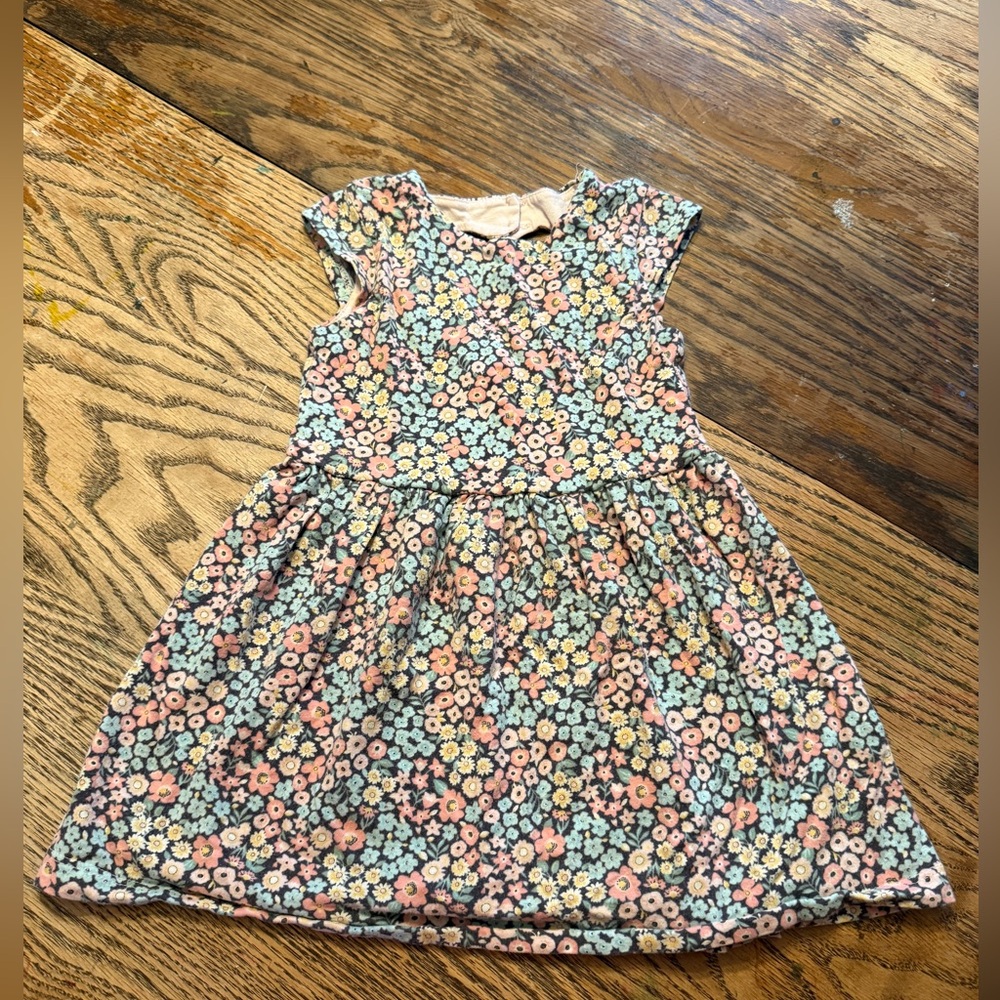 Carters 2T Soft Floral Dress